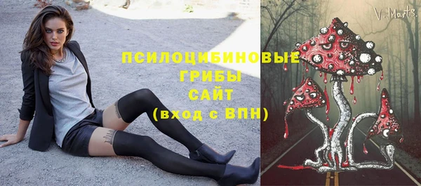 не бодяженный Новозыбков